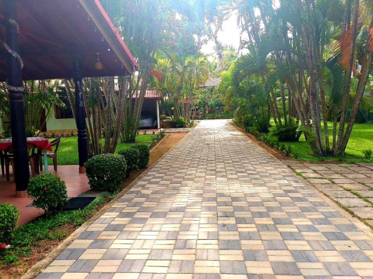 Hotel Tk Green Garden Matara Eksteriør billede