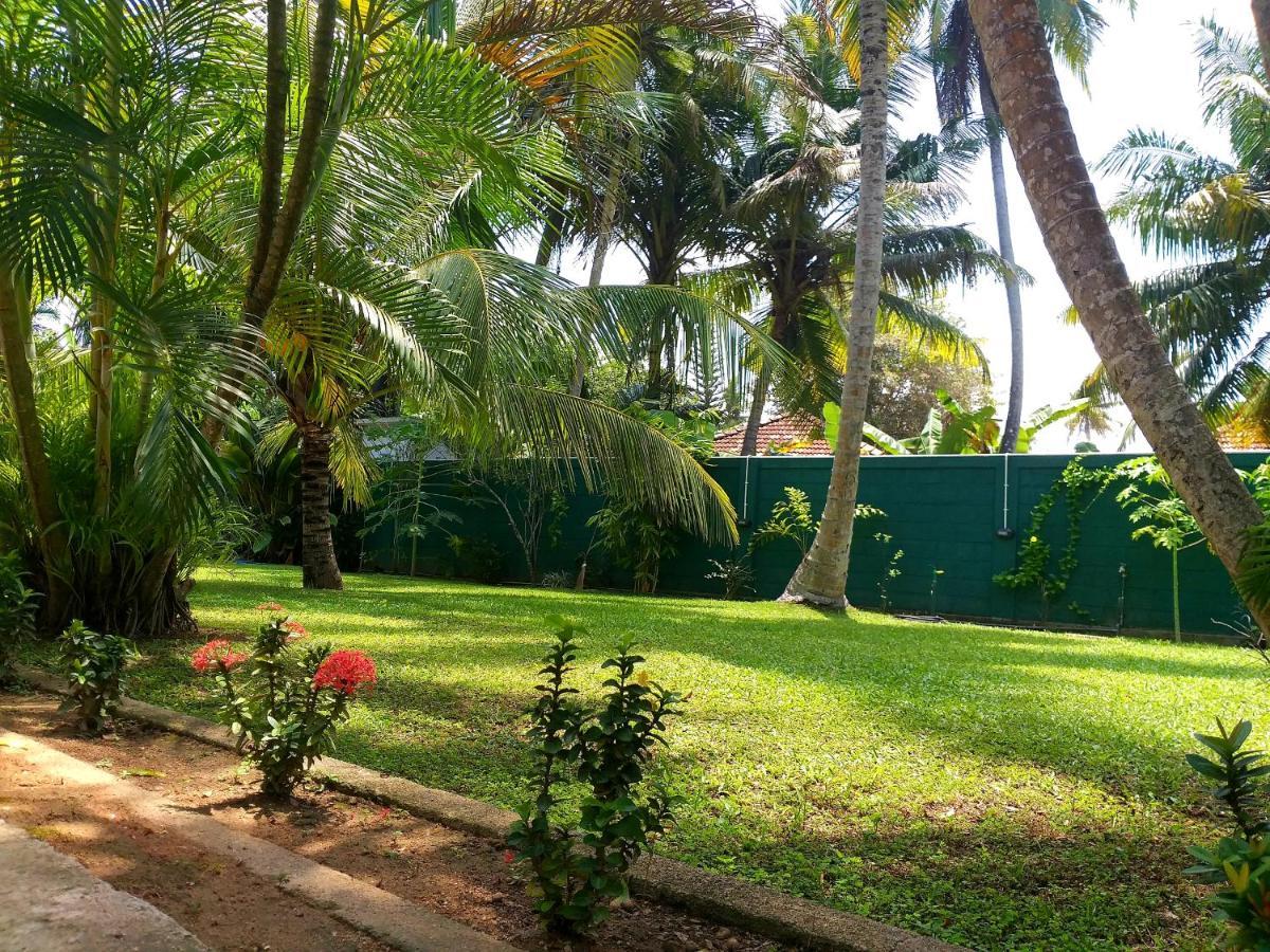 Hotel Tk Green Garden Matara Eksteriør billede