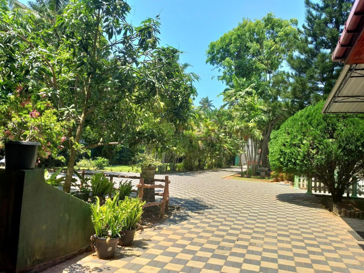 Hotel Tk Green Garden Matara Eksteriør billede