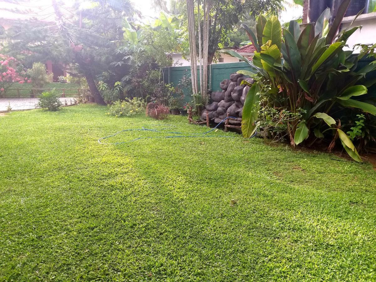 Hotel Tk Green Garden Matara Eksteriør billede