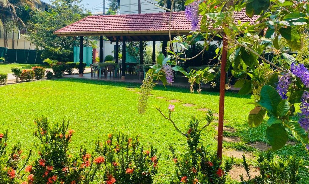 Hotel Tk Green Garden Matara Eksteriør billede