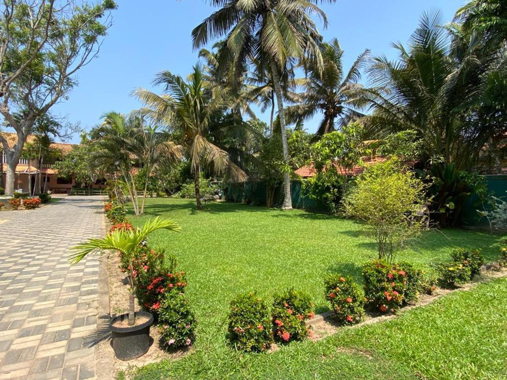 Hotel Tk Green Garden Matara Eksteriør billede