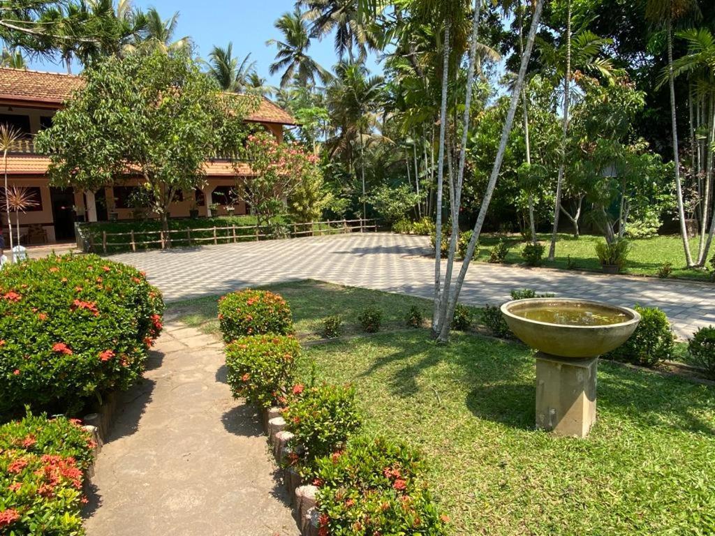 Hotel Tk Green Garden Matara Eksteriør billede